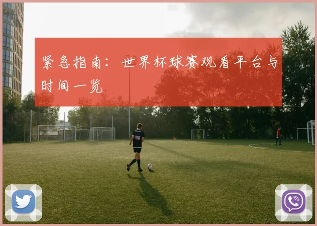 紧急指南：世界杯球赛观看平台与时间一览