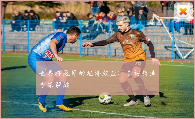 世界杯冠军的经济效应：专访行业专家解读
